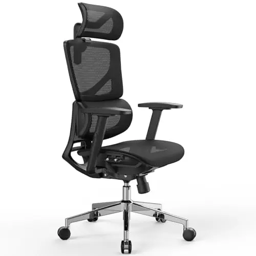 OdinErgo ergonomic mesh office chair with C-shaped lumbar support and adjustable features