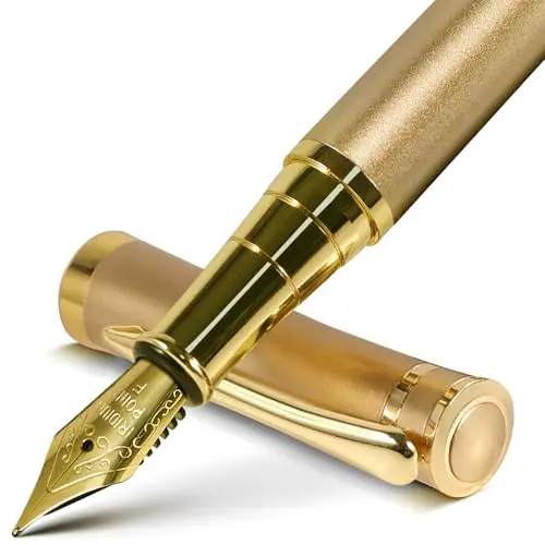 FINTANIX fountain pen with gold finish and complete accessory set