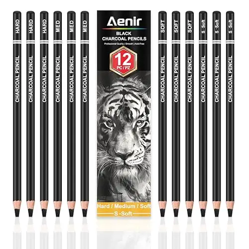 Aenir 12-piece charcoal pencils set