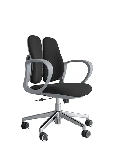 Livegift ergonomic office chair with dual backrest for lumbar support